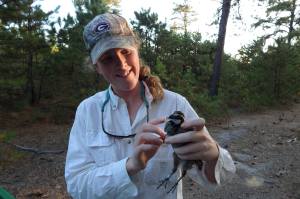 kaili at pine island - parke